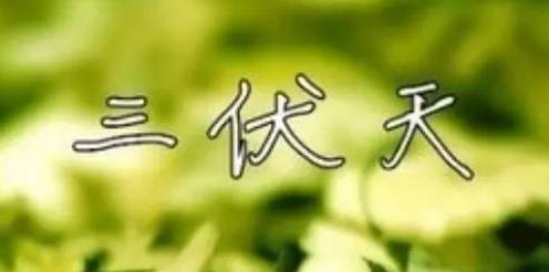 三伏天飲食有哪些禁忌？微電腦治療儀哪個牌子好？