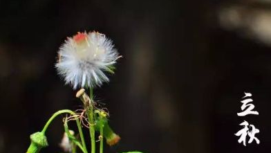 立秋后因該注意怎么養(yǎng)生？理療儀對高血壓患者有啥效果？