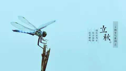 立秋后的養(yǎng)生攻略！家用理療儀的功效