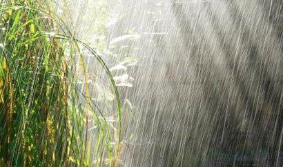 如何健康度過多雨季節(jié)？陜西千秋電子治療儀
