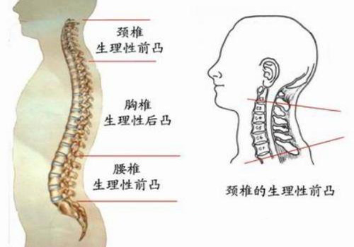 千萬別把“富貴包”當成富貴