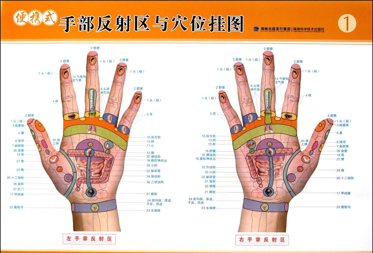 經(jīng)絡(luò)多久疏通一次好？